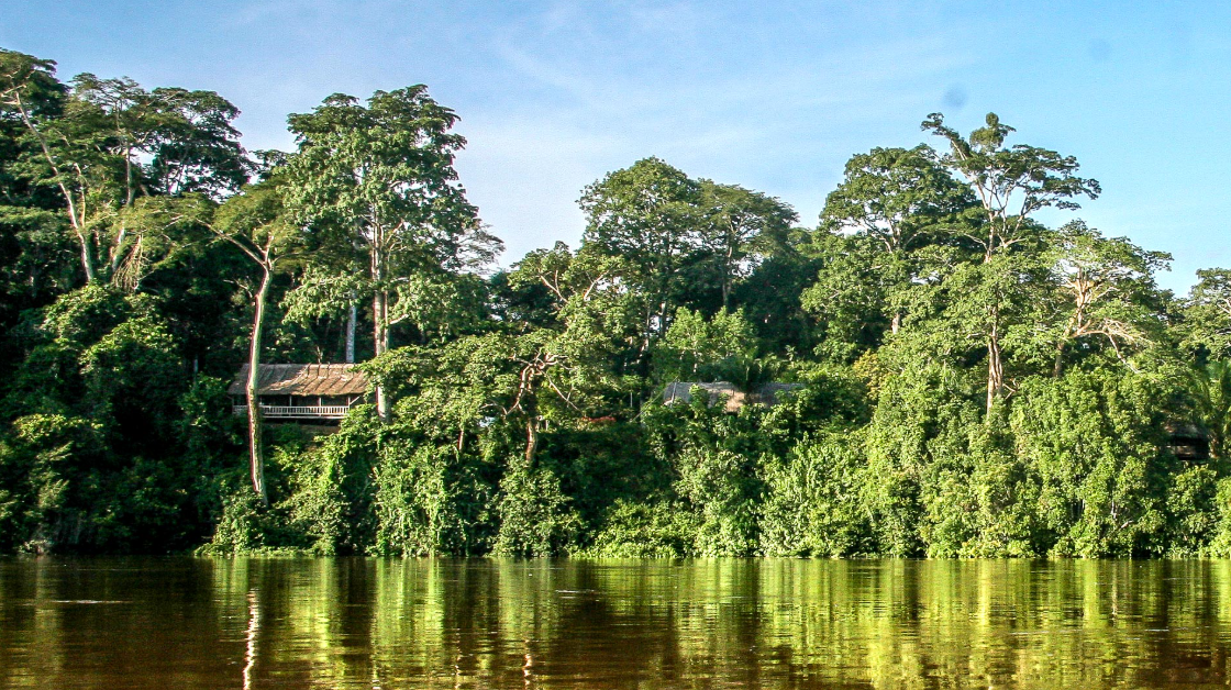 Sangha River, Southwest (near Dzanga-Sangha), Central African Republic